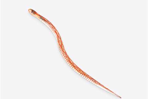 Wooden Snake Tricky Toy