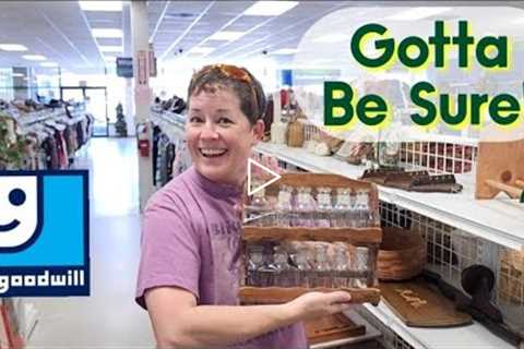 Gotta Be Sure! - Shop Along With Me - Goodwill Thrift Store