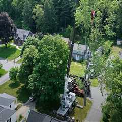 Tree Service Maintenance For Urban Landscapes: Recommended Tree Service Equipment In Groveland, MA