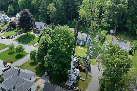 Tree Service Maintenance For Urban Landscapes: Recommended Tree Service Equipment In Groveland, MA