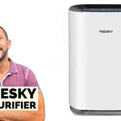 Wisesky Air Purifier