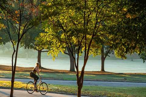 The Best Bike Shops in Hapeville, GA for Mountain Bikes