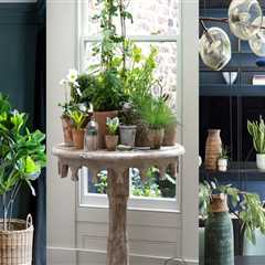 Incorporating Plants into Your Bar Decor: Tips from an Expert