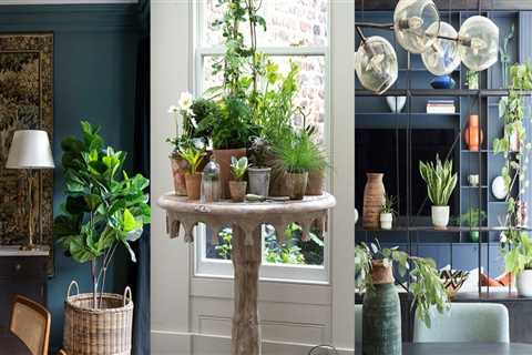 Incorporating Plants into Your Bar Decor: Tips from an Expert