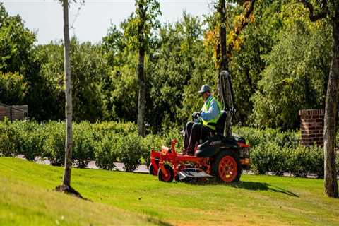 The Lifespan of Lawn Care Products: How Long Do They Last?