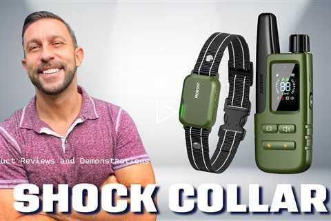 DT-61 Dog Training Collar with Remote for All Breeds