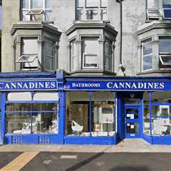 Brighton's Beloved Bathroom Shop Drowns in Red Tape After 34 Years