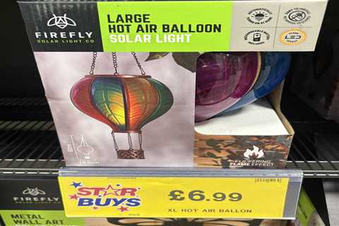 My £6.99 Home Bargains Find That's About to Transform Every Garden in Britain