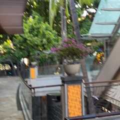 The Ultimate Guide to Shopping Centers in Honolulu County, Hawaii