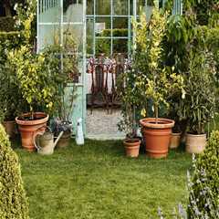 Exploring Popular Types of Flags for Home and Garden Décor