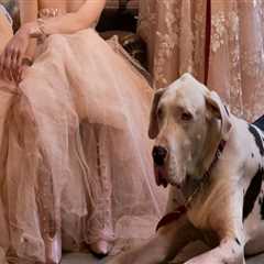 How Bridal Atelier Inspiration Influences Custom Jewelry Creations