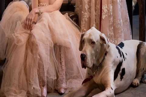 How Bridal Atelier Inspiration Influences Custom Jewelry Creations