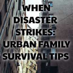 Get practical tips for urban disaster planning in When the City Stops Working by David Goldman.