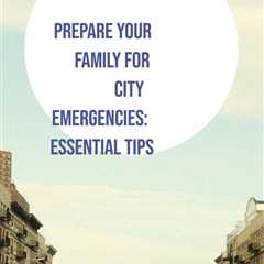 Stay calm during emergencies with the urban family survival guide, When the City Stops Working by..