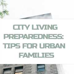 Discover how to prepare for city emergencies with When the City Stops Working by David Goldman.