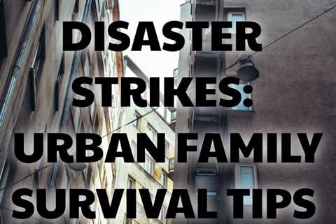 Get practical tips for urban disaster planning in When the City Stops Working by David Goldman.