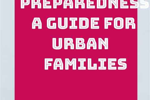 Ensure your family's safety with the urban family survival guide, When the City Stops Working by..