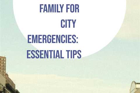 Stay calm during emergencies with the urban family survival guide, When the City Stops Working by..
