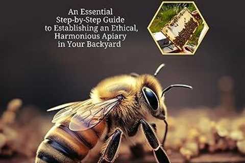 Beekeeping for Beginners: Mindful Backyard Guide