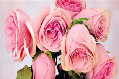 Create a Cohesive Bridal Aesthetic with Long Island's Top Florists
